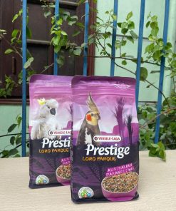 Ngũ cốc cho vẹt Cockaitel