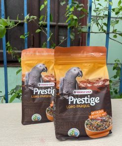 Ngũ cốc cho vẹt xám châu phi